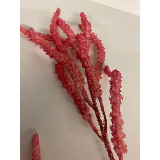 Colmore Chenopdium roze 101cm