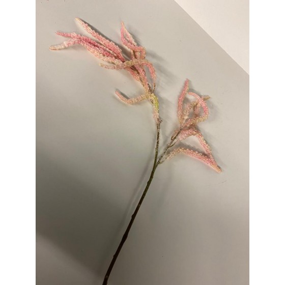 Colmore Chenopdium wit/roze 101cm