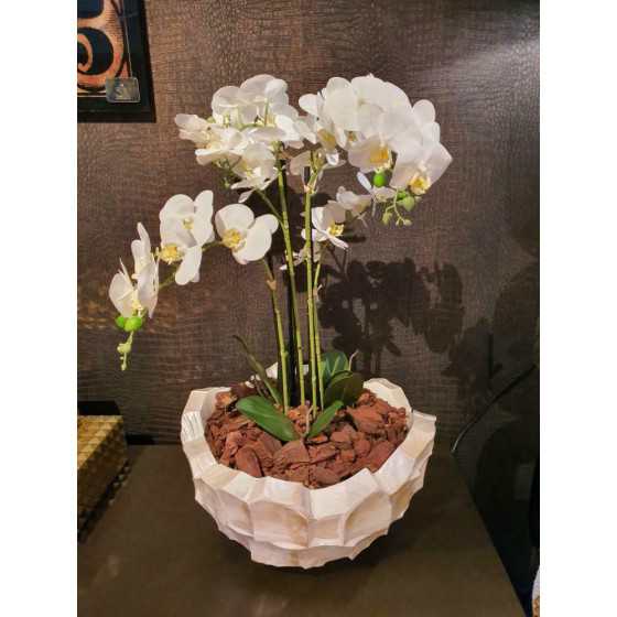 Schelpenvaas broken bowl opgemaakt met orchidee UITVERKOCHT