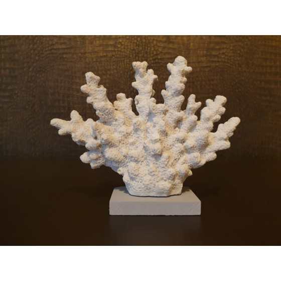 Wit koraal op voet imitatie 15x18cm