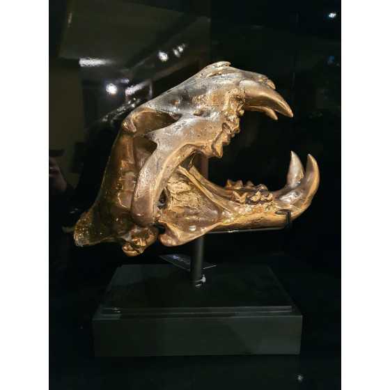 Gouden Skull | Schedel goud op statief 40cm