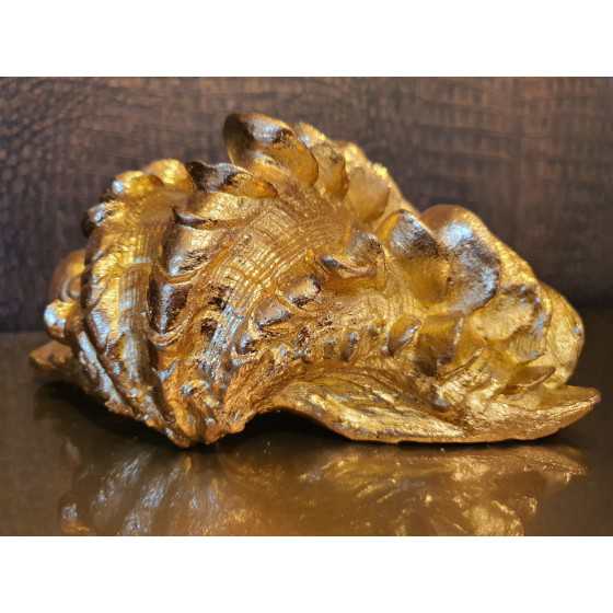 Gouden schelp groot 10x17x23cm Uitverkocht